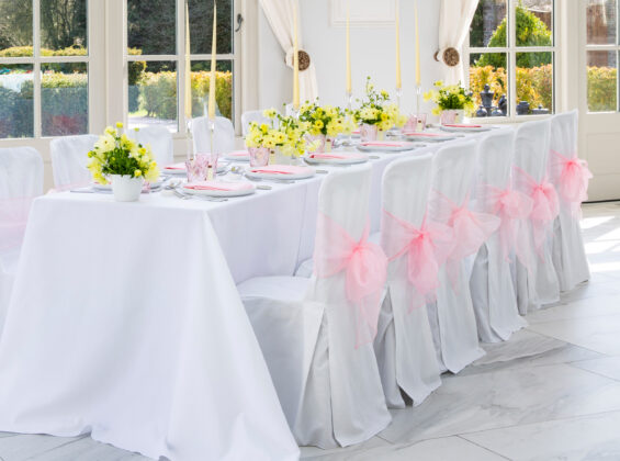 Chair Covers & Sashes
