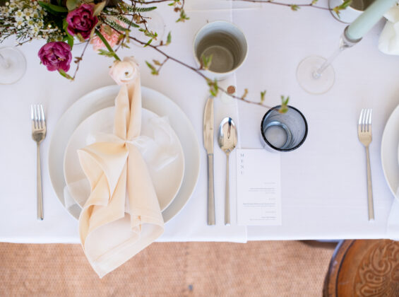 Arctic White with Natural Cream