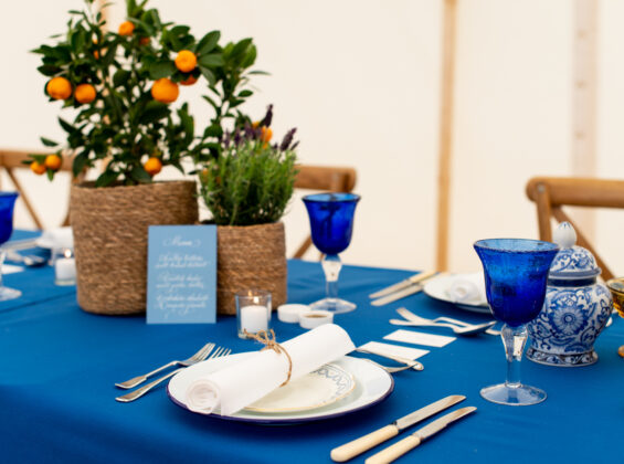 Royal Blue with Arctic White