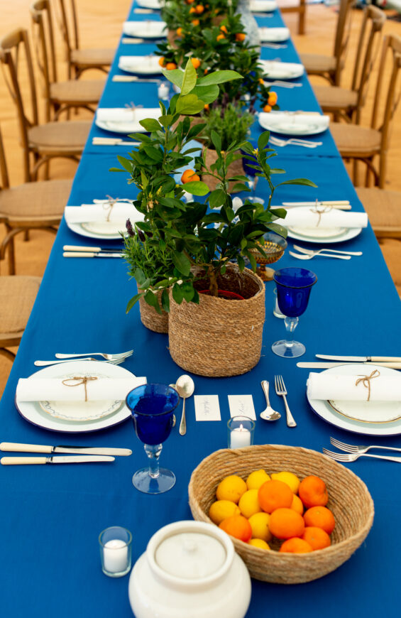 Royal Blue with Arctic White